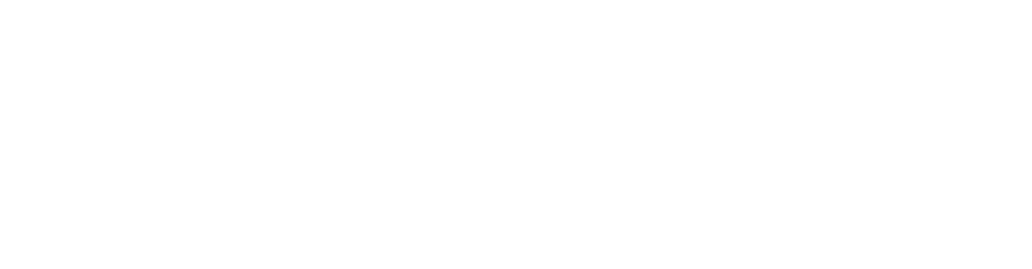 Petwin PE